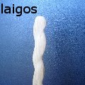 ignis laigos - Man - Wood
